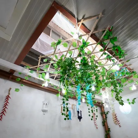 Apartman Angel House